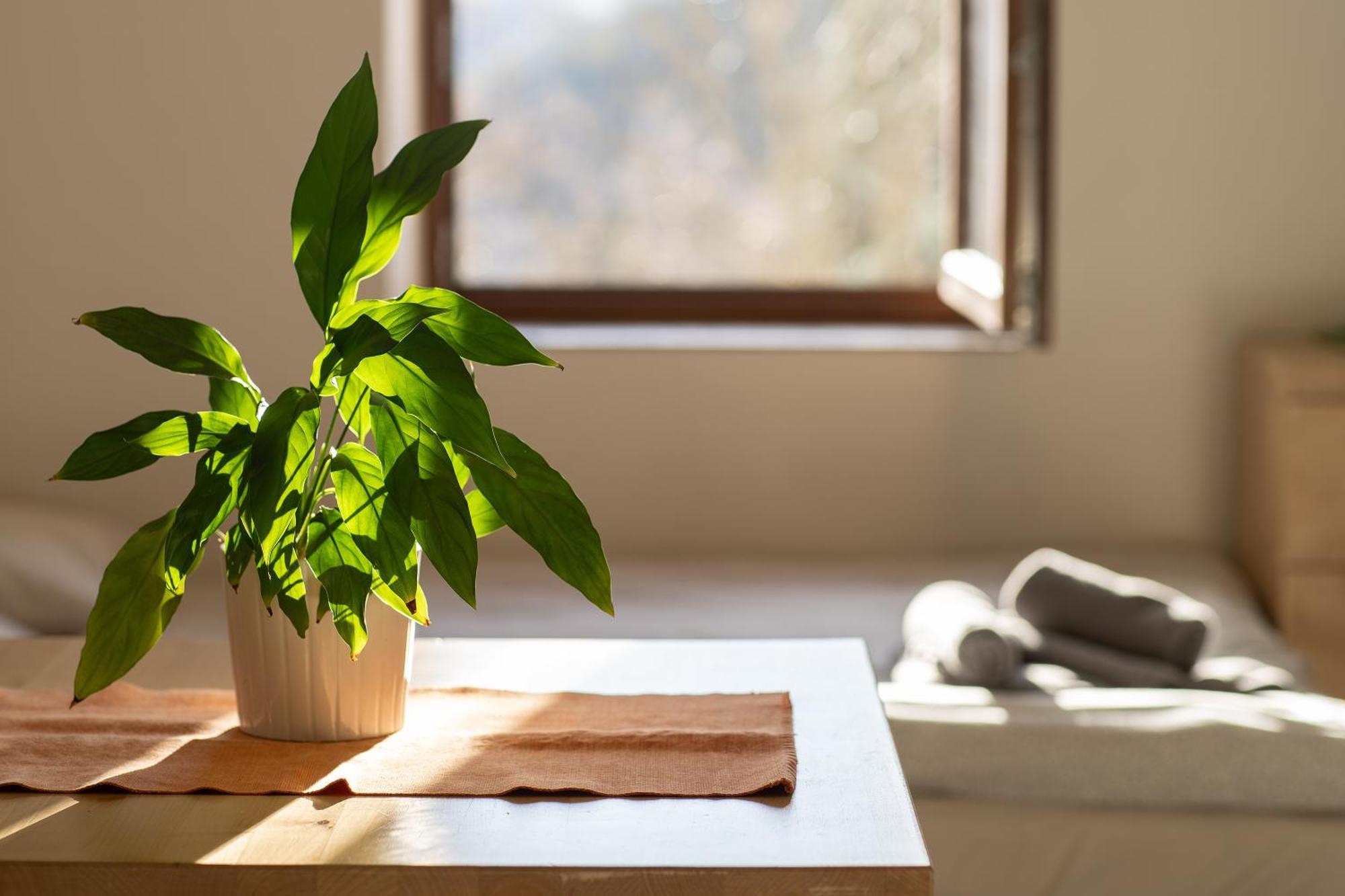 Apartmany Pro Rodiny S Detmi - Permonik Dolní Malá Úpa Extérieur photo