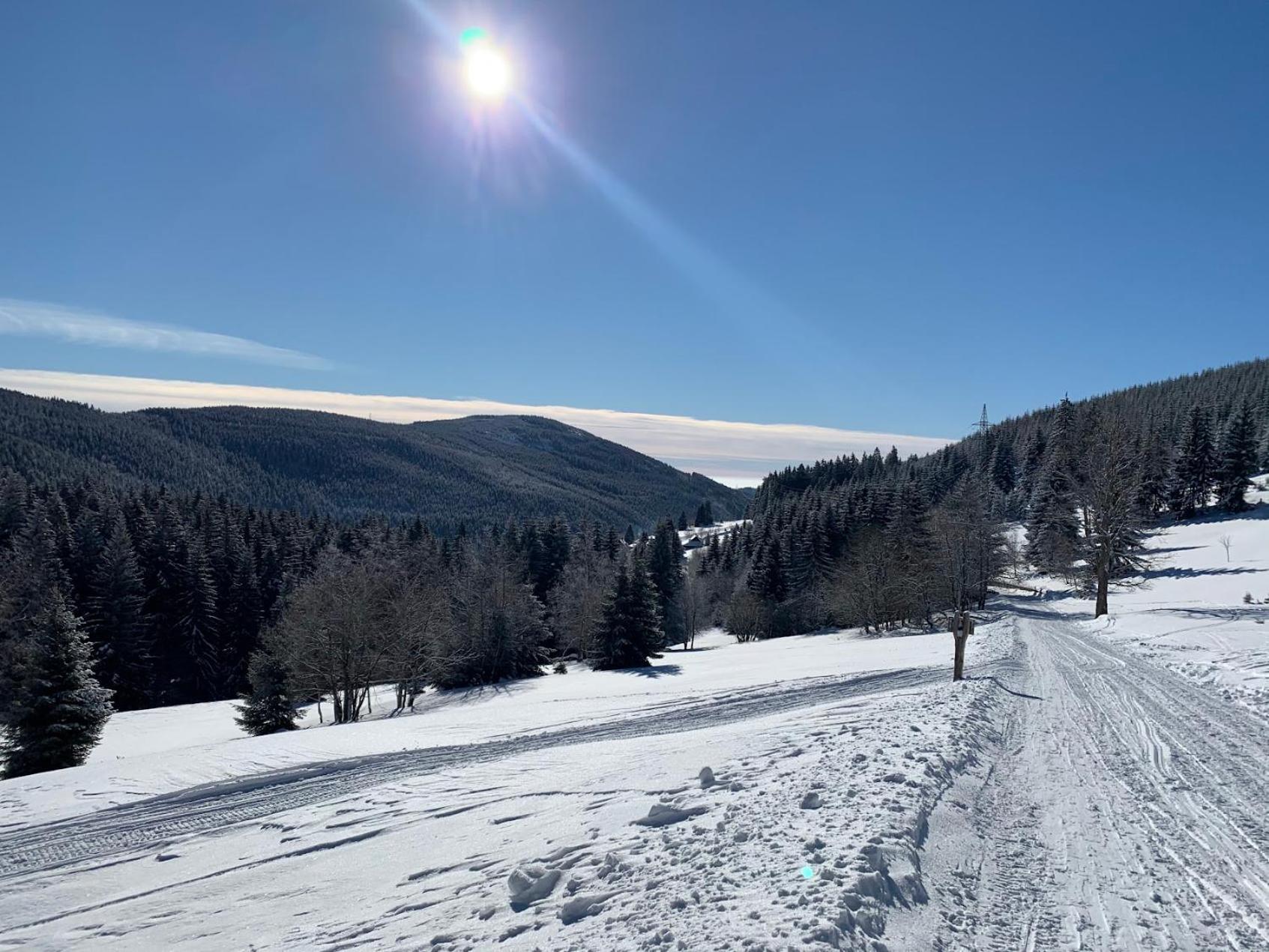 Apartmany Pro Rodiny S Detmi - Permonik Dolní Malá Úpa Extérieur photo